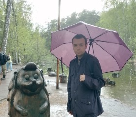 Ilya, 32, Novosibirsk