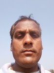 Sunil Mourya, 36 лет, Gorakhpur (State of Uttar Pradesh)