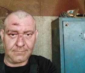 Алексей Чесноков, 43 года, Новосибирск