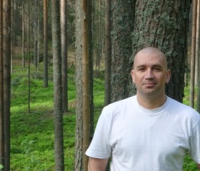 Юрий, 46 лет, Петрозаводск