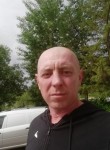 Евгений Петров, 44 года, Снежинск