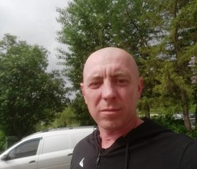 Евгений Петров, 44 года, Снежинск