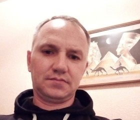 Артур, 45 лет, Нижний Новгород