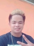 Pickoy, 27 лет, Lungsod ng Dabaw