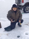 саша, 72 года, Шадринск