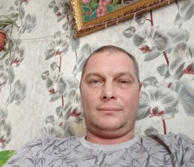 Александр Кузнец, 43 года, Варгаши