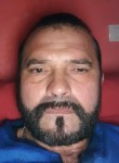 Denis, 46 лет, Trebaseleghe