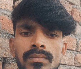 Raju Bhai, 29 лет, Ludhiana