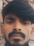 Raju Bhai, 29 лет, Ludhiana