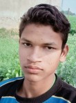 Bhoopendra...pra, 19 лет, Gwalior