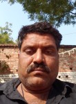 Ramesh singh, 49 лет, Varanasi