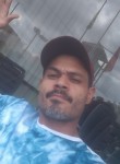 Renato, 40 лет, São Bernardo do Campo