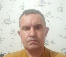 Алексей, 51 год, Ижевск