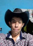 Samuel Enrique, 19 лет, Monterrey City