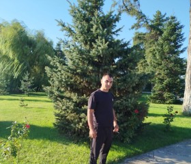 Alyesha, 37, Yerevan