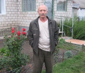 Николай, 76 лет, Елец