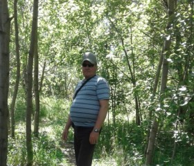 Valeriy, 62, Naberezhnyye Chelny