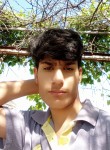 Shahab, 18 лет, راولپنڈی