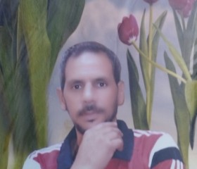سعيد طه مصطفى, 49, Cairo