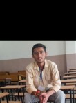 Anush chauhan, 18 лет, Shimla