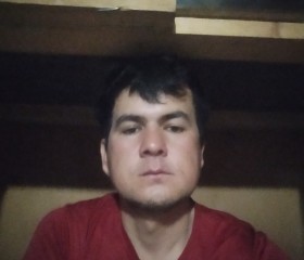 Олимов холберди, 26 лет, Москва