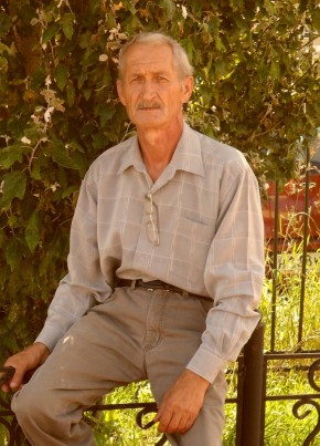 дмитрий, 72, Россия, Далматово