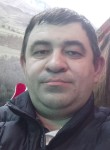 DMITRIY, 44, Zheleznodorozhnyy (MO)