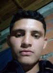 Alejandro, 27 лет, Guayaquil