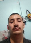 Alejandro Torres, 30 лет, México Distrito Federal