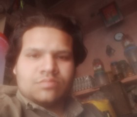 Shahrukh maliuk, 29 лет, Delhi