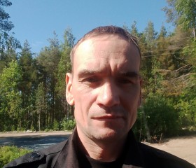 Николай Бойко, 40 лет, Сегежа