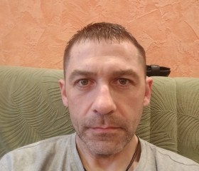 Серёга, 44 года, Петропавловск-Камчатский