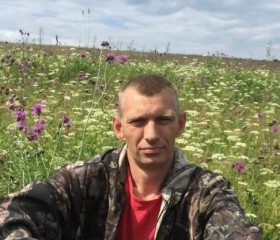 Андрей, 42 года, Березовский