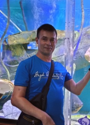 Алексей из Жигулевска 48 лет