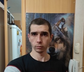 Шамиль, 34 года, Казань