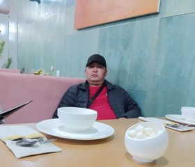 Тынчтыкбек, 45 лет, Алматы