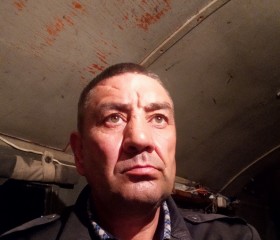 Виталий, 52 года, Тольятти