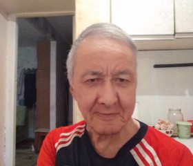 Bob, 69 лет, Семей