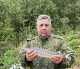 Алексей, 51 год, Иваново