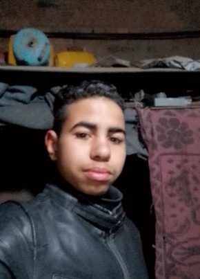 Tallat Korashey, 19, جمهورية مصر العربية, القاهرة
