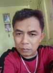 ging, 46 лет, Lungsod ng Dabaw