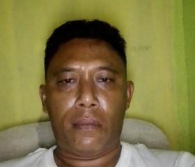 Dani, 43 года, Djakarta