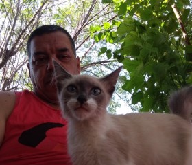 Flavio, 53 года, Cachoeirinha