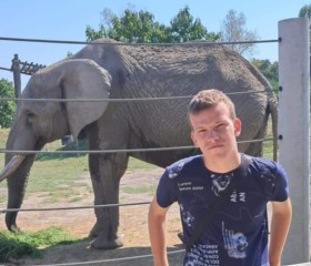 Kevin, 18, Dunajska Streda