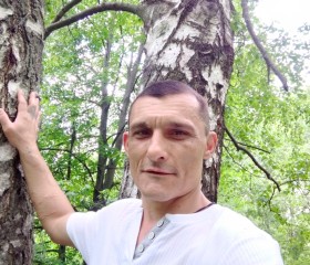 Дмитрий, 44 года, Кущёвская