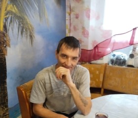 Дмитрий Дмитрий, 45 лет, Кольчугино
