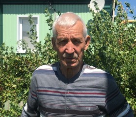 Владимир, 74 года, Волгоград