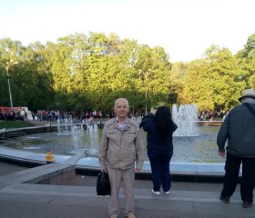 Василий, 70 лет, Москва