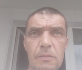 Дима, 46 лет, Нижний Тагил