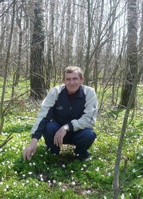 Владимир, 69, Россия, Тольятти